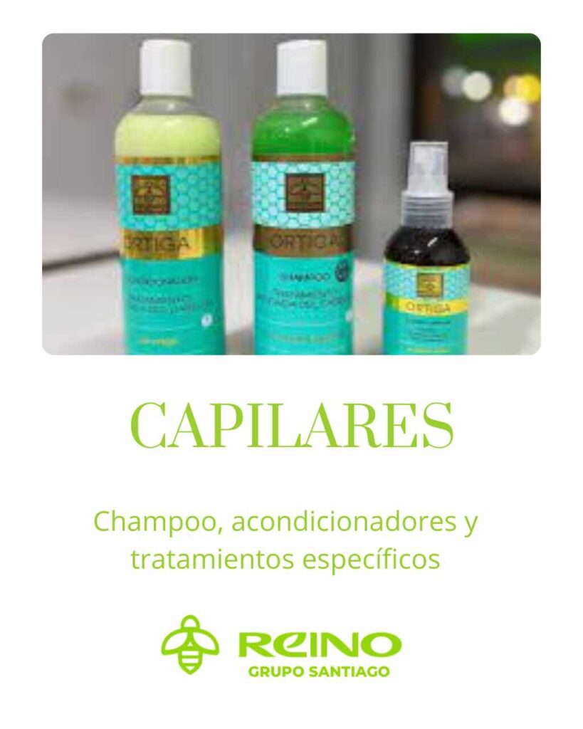 reino 25 (1)