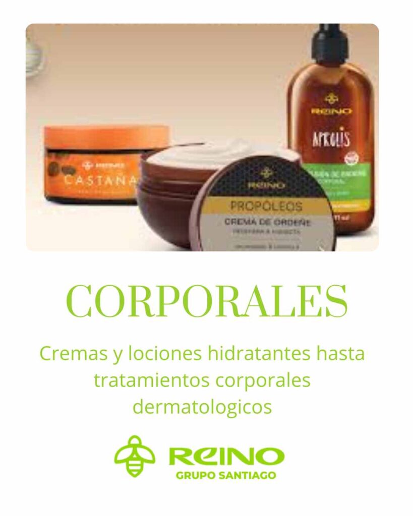 reino 25 (3)